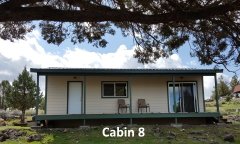 Cabin 8 - Outside